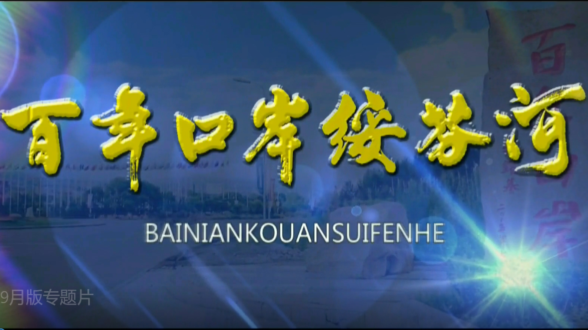 自貿(mào)區(qū)1周年宣傳片