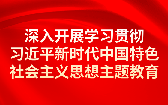 深入開(kāi)展學(xué)習(xí)貫徹習(xí)近平新時(shí)代中國(guó)特色社會(huì)主義思想主題教育