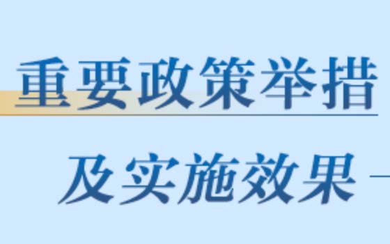 重要舉措及實(shí)施效果