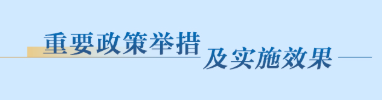 重要政策舉措及實(shí)施效果